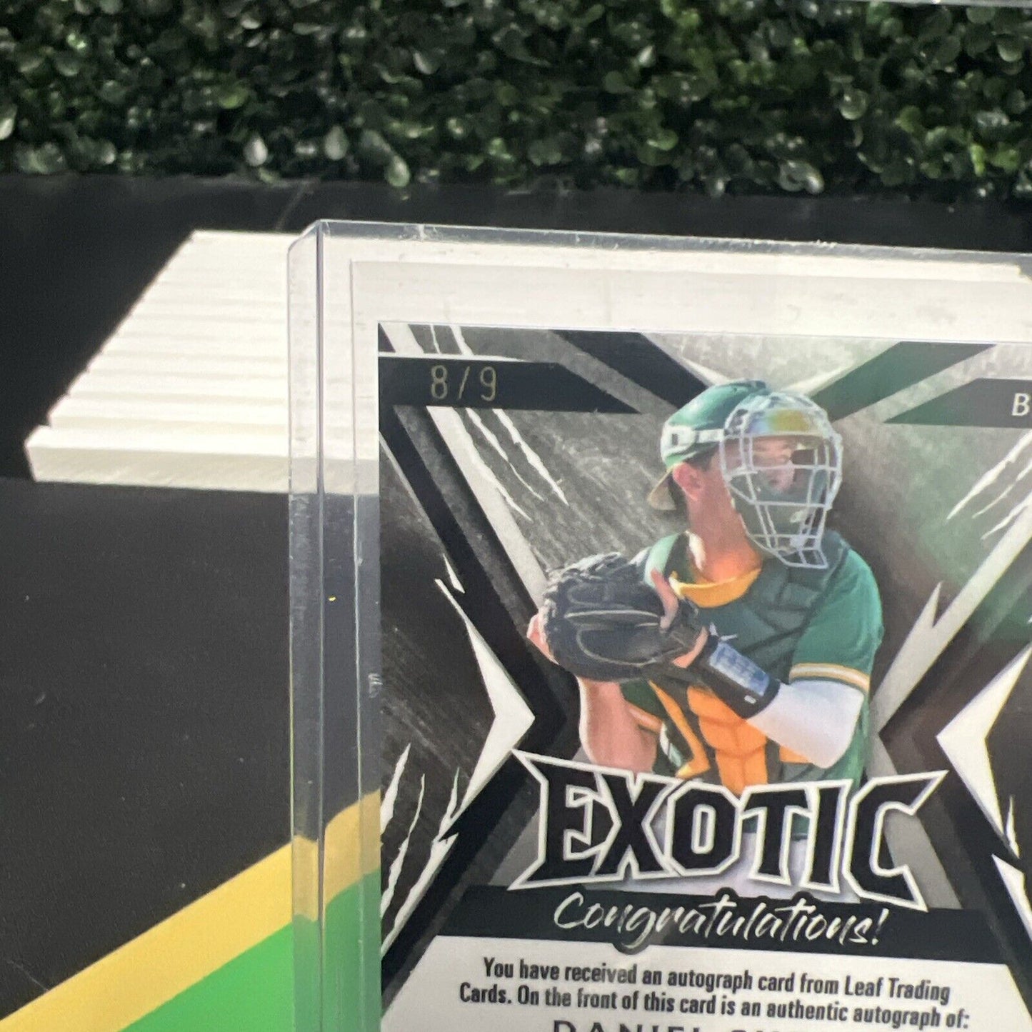 Daniel Susac 2023 Leaf Exotic Elephant Prismatic 8/9 #BA-DS1 Auto